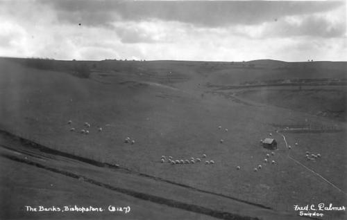 BANKS-2-BISHOPSTONE-1925