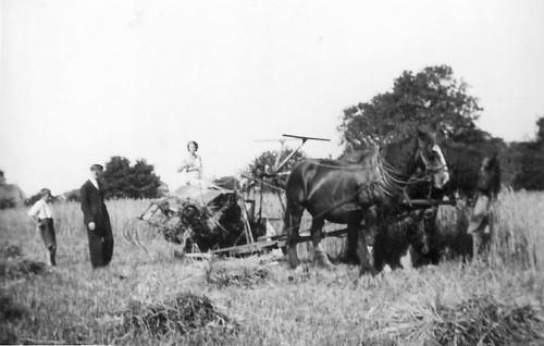 BINDING-WYNCIES-BISHOPSTONE-1930