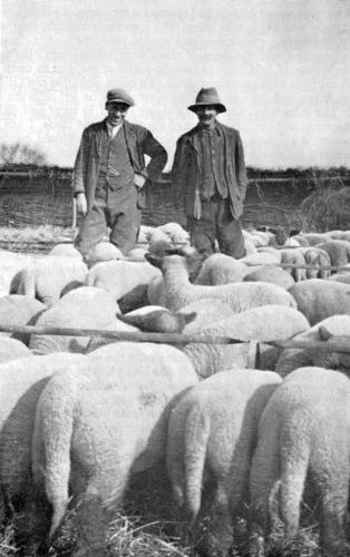 CHIVERS-DICK-SWATTON-NELSON-BISHOPSTONE-1925