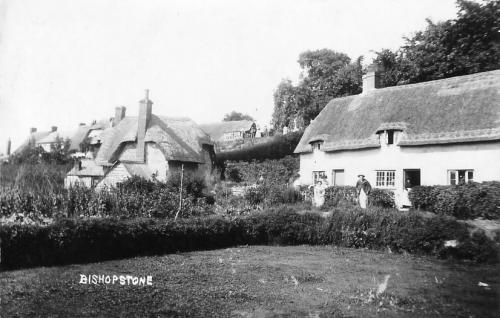 COTTAGES-BACK-OF-POND-BISHOPSTONE-1920