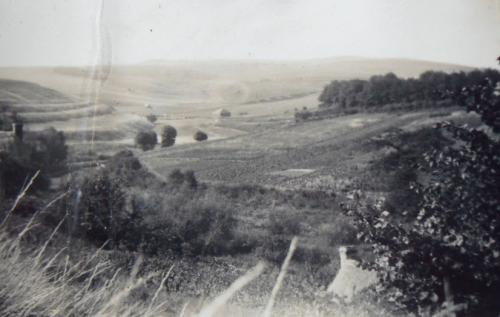 DOWNS-BISHOPSTONE-1920