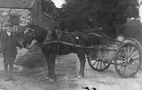 MANOR-FARM-MILK-CART-BISHOPSTONE-1930