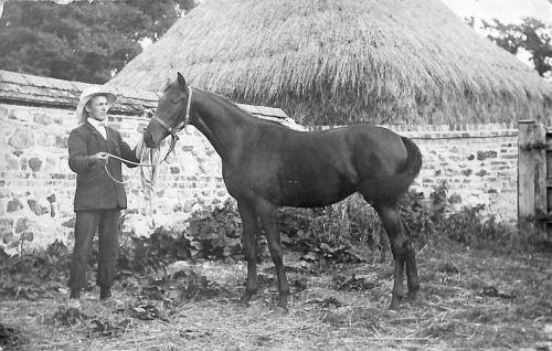 PREBENDAL-FARM-HORSE-BISHOPSTONE-1930