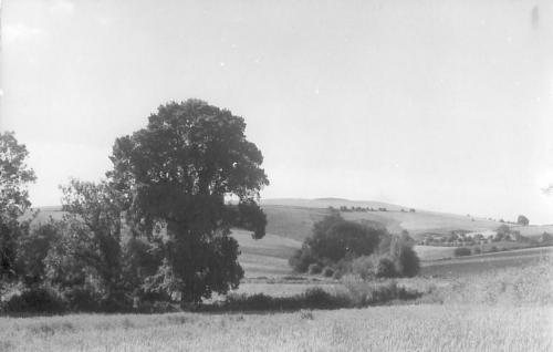CHARLBURY-HILL-BISHOPSTONE-1950 (1)