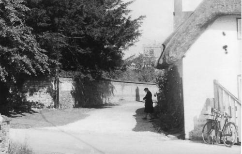 CHURCH-WALK-BISHOPSTONE-1950