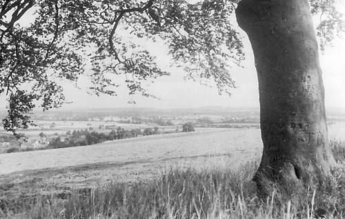 FOLLY-VIEW-BISHOPSTONE-1950