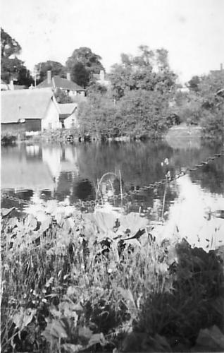 POND-WATERCRESS-BEDS-BISHOPSTONE-1950