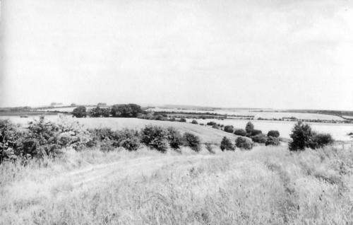 RIDGEWAY-TRACK-BISHOPSTONE-1950