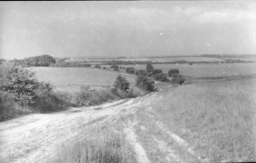 RIDGEWAY-TRACK-BISHOPSTONE-1950 (1)