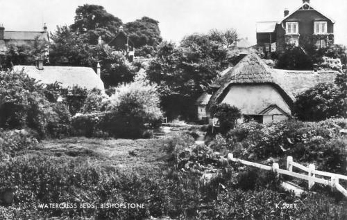 WATERCRESS-BEDS-BISHOPSTONE-1950
