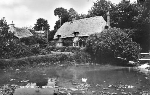 WATERCRESS-BEDS-BISHOPSTONE-1955