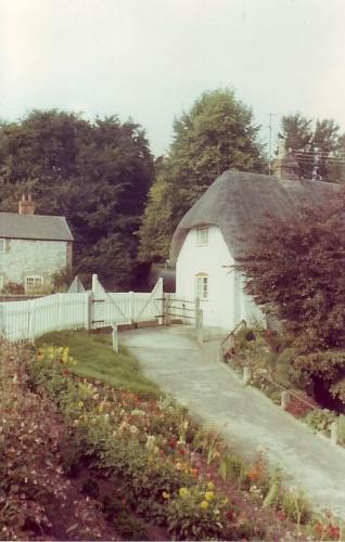 DINGLE-COTTAGE-GARDEN-BISHOPSTONE-1960