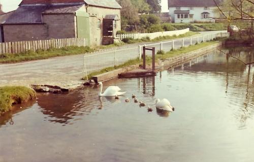 MILL-POND-BISHOPSTONE-1960