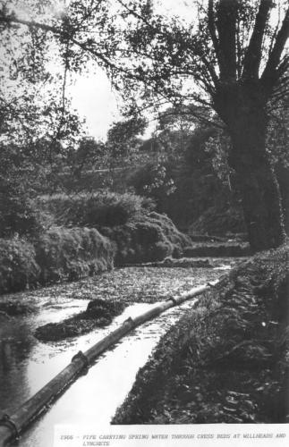 WATERCRESS-BEDS-PIPE-BISHOPSTONE-1966
