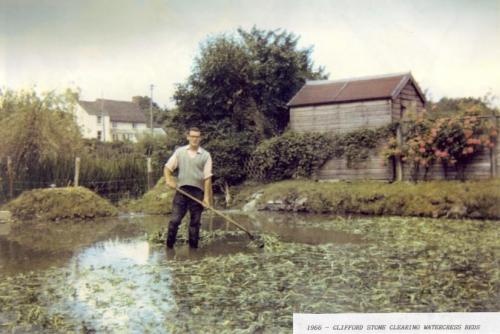 WATERCRESS-BEDS-STONE-BISHOPSTONE-1966 (1)