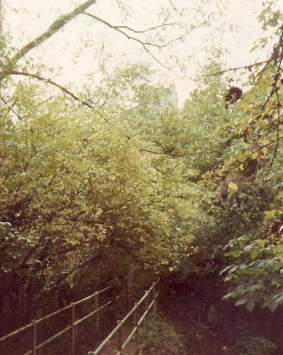 BRIDGE-VIEW-BISHOPSTONE-1980