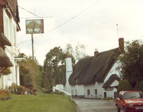 ROYAL-OAK-BISHOPSTONE-1980