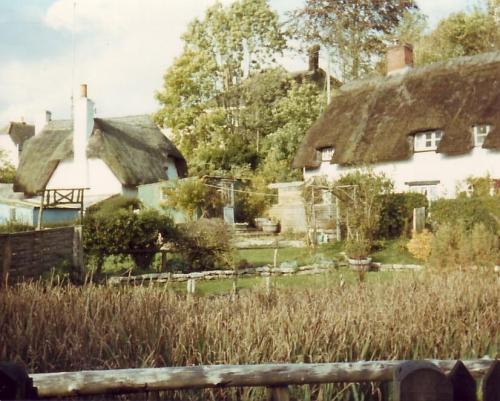 WATERCRESS-BEDS-BISHOPSTONE-1980
