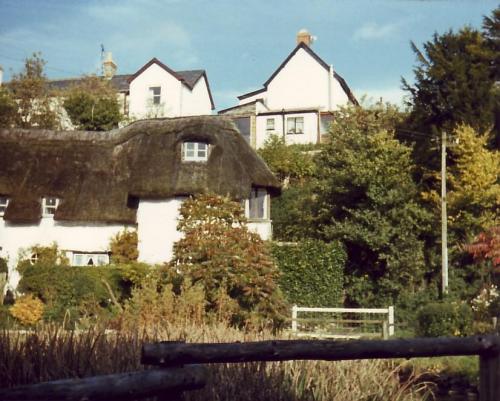 WATERCRESS-BEDS-VIEW-BISHOPSTONE-1980