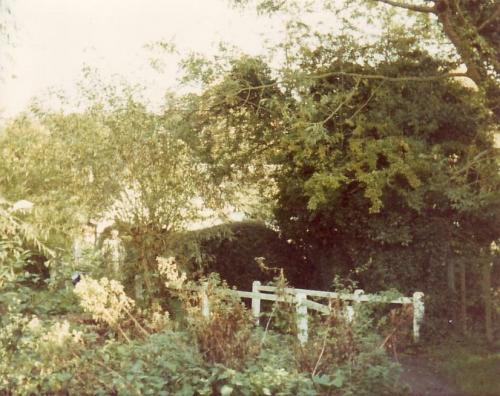 WILLIAMS-WELL-BISHOPSTONE-1980