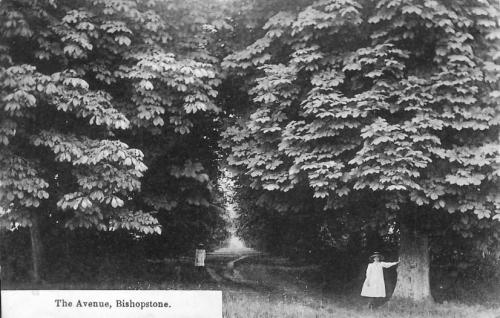 AVENUE-BISHOPSTONE-1905