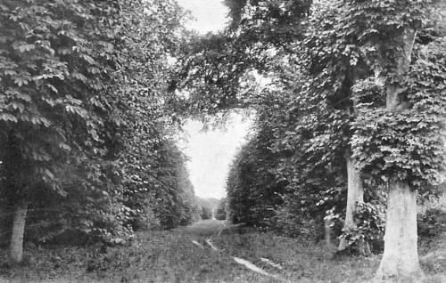 AVENUE-BISHOPSTONE-1910