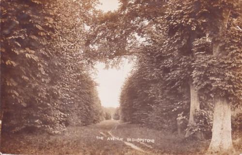 AVENUE-BISHOPSTONE-1913