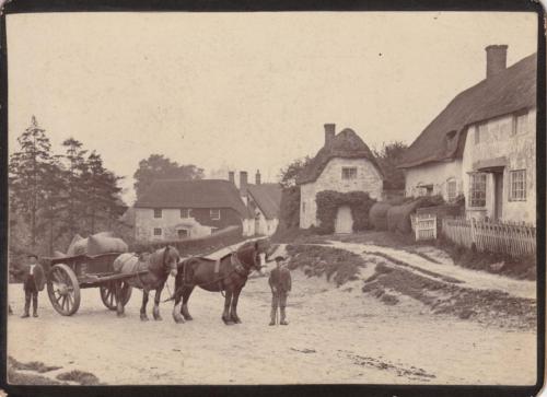 C-HIBBARD-HOCKERBENCH-BISHOPSTONE