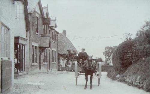 HIGH-STREET-JOHN-POVEY-TRAP-BISHOPSTONE-1905