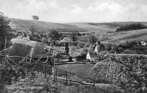 LYNCHES-BISHOPSTONE-1905