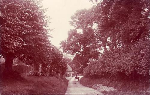 RAILS-BISHOPSTONE-1905