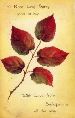 ROSE-LEAF-GREETINGS-BISHOPSTONE-1910