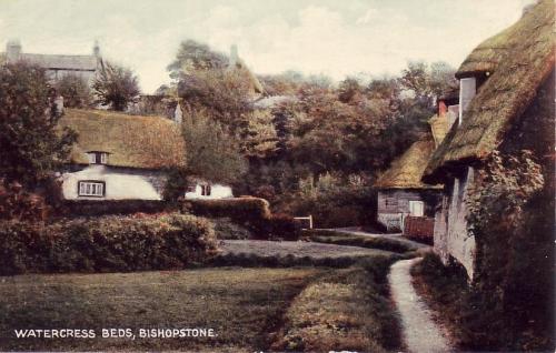 WATERCRESS-BEDS-1-BISHOPSTONE-1905
