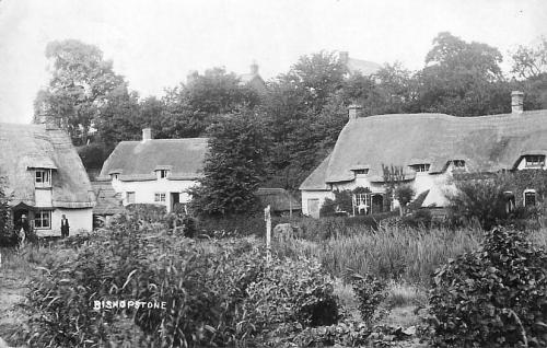 WATERCRESS-BEDS-2-BISHOPSTONE-1905