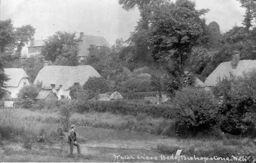 WATERCRESS-BEDS-BISHOPSTONE-1900
