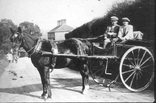 WILSONS-HORSE-TRAP-BISHOPSTONE-1910