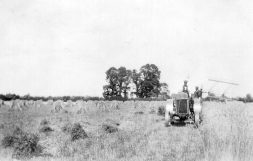 CHURCH-FARM-HARVESTING-S-DROVE-1930
