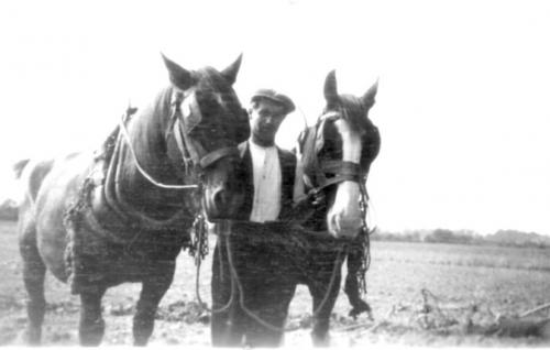 CHURCH-FARM-PLOUGH-HORSES-PILL-1930