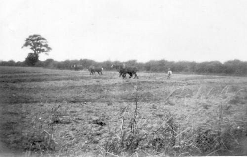 CHURCH-FARM-PLOUGHING-S-DROVE-1930