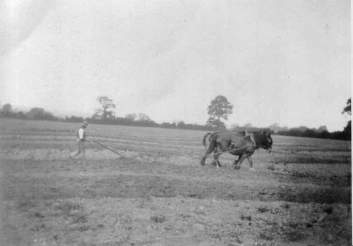 CHURCH-FARM-PLOUGHING-S-DROVE-1930 (1)