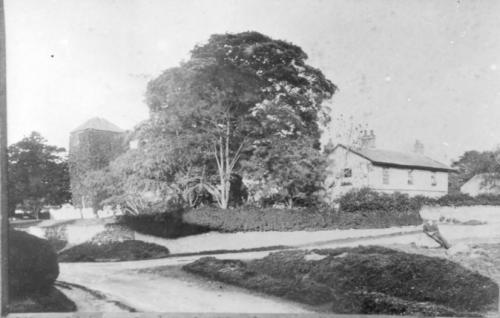 ST-SWITHUNS-RECTORY-1920