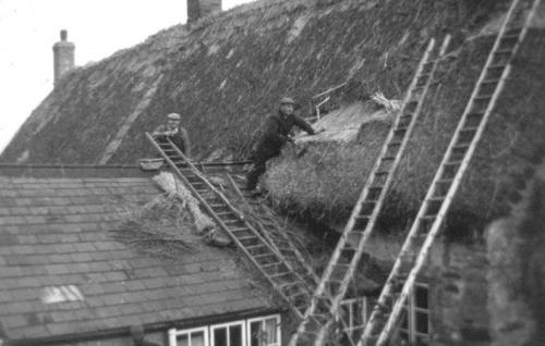 HOME-FARM-THATCHING-ANGER-1950