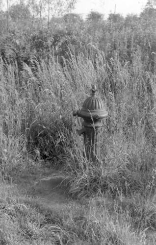 WATER-PUMP-BY-SCHOOL-1950