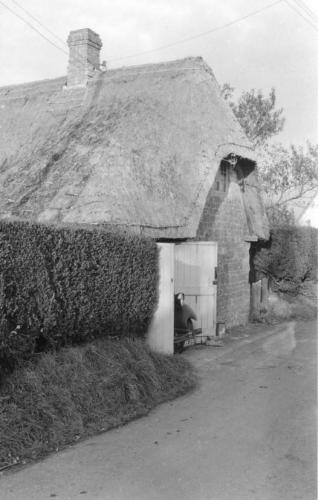 ICKNIELD-COTTAGE-1960