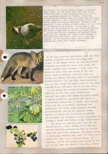 JUBILEE-YEAR-1965-110