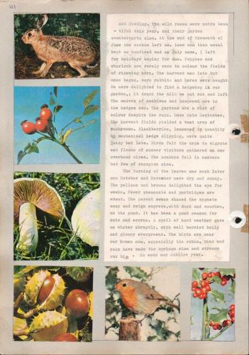 JUBILEE-YEAR-1965-111