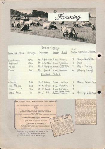 JUBILEE-YEAR-1965-95