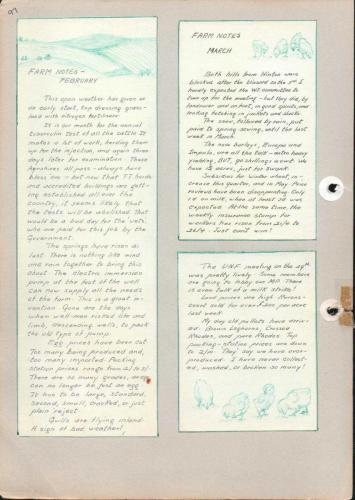 JUBILEE-YEAR-1965-97