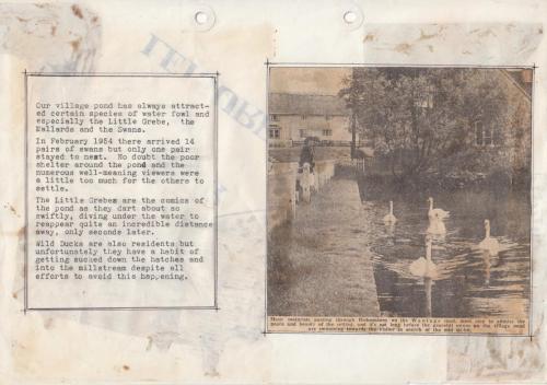 WATER-IN-OUR-PARISH-13