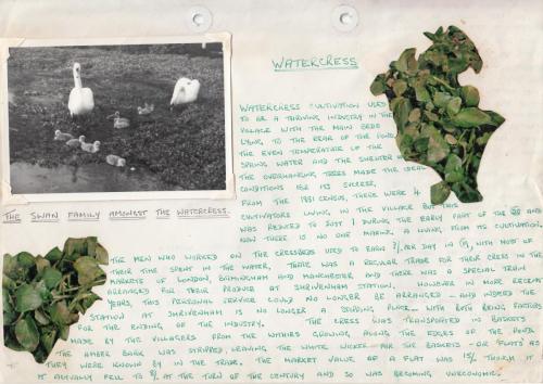 WATER-IN-OUR-PARISH-4